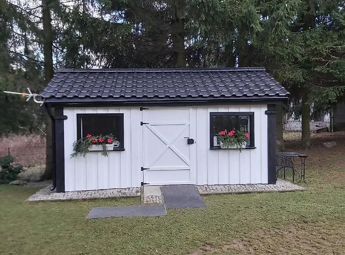 Daire Bialy Zakatek *